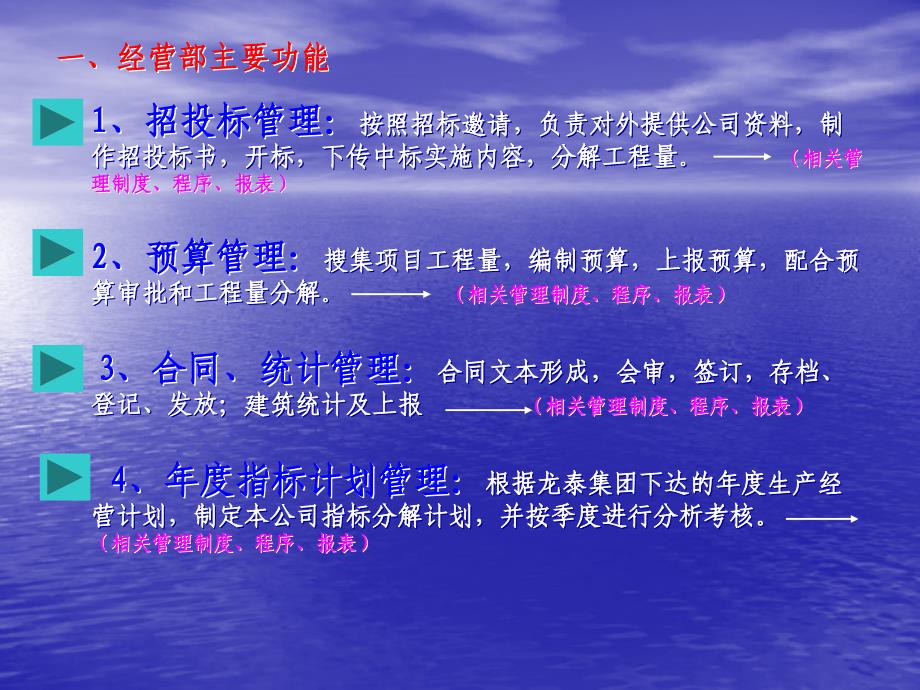 工程公司管理流程_第3页