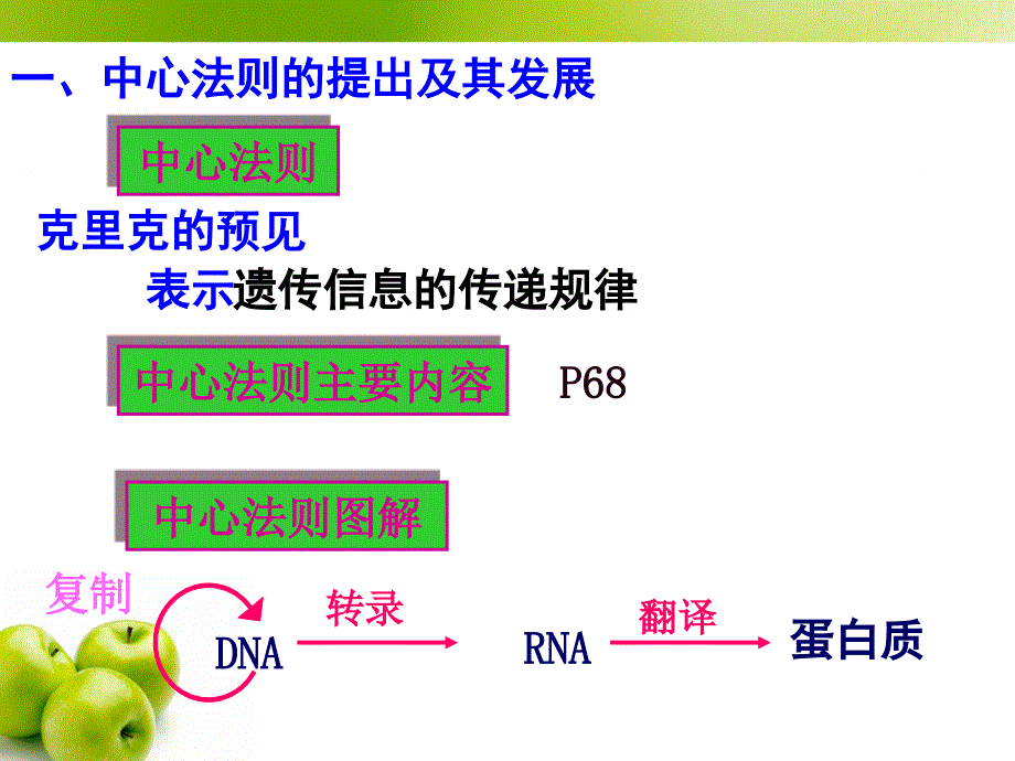 必修二42基因对性状的控制_第3页