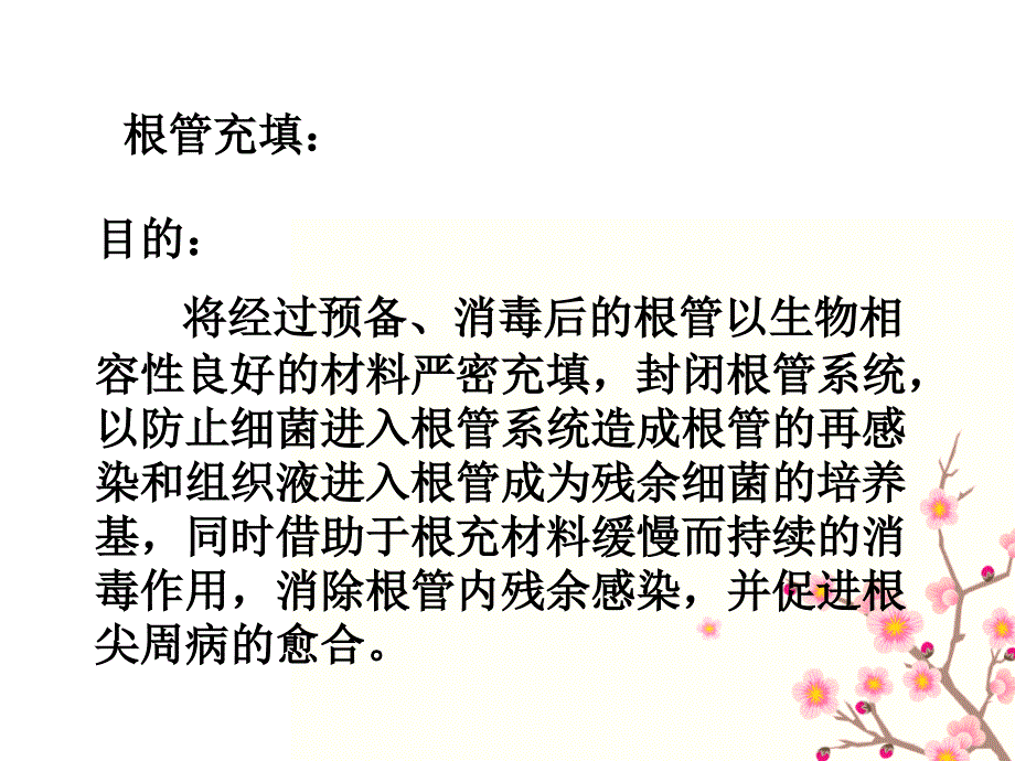 根管治疗术充填方法_第2页