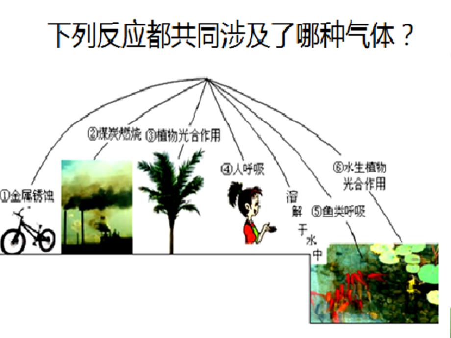 基础实验1氧气的制取与性质_第1页