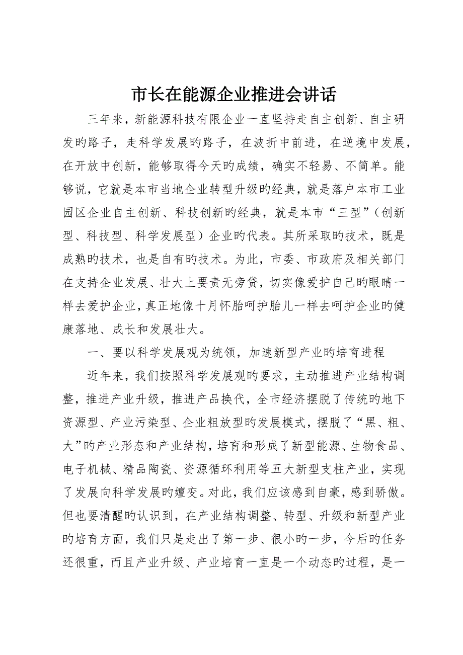 市长在能源公司推进会致辞_第1页