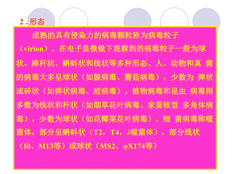 病毒是一类超显微的非细胞生物每一种病毒只含有一种核文档资料_第3页