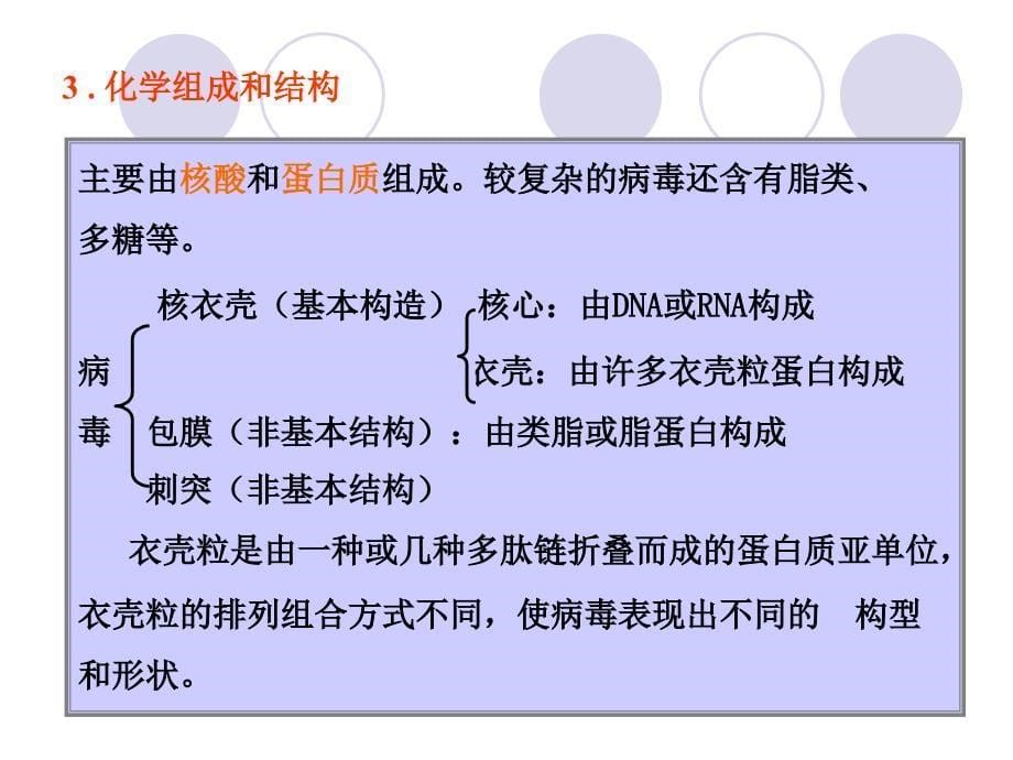 病毒是一类超显微的非细胞生物每一种病毒只含有一种核文档资料_第5页