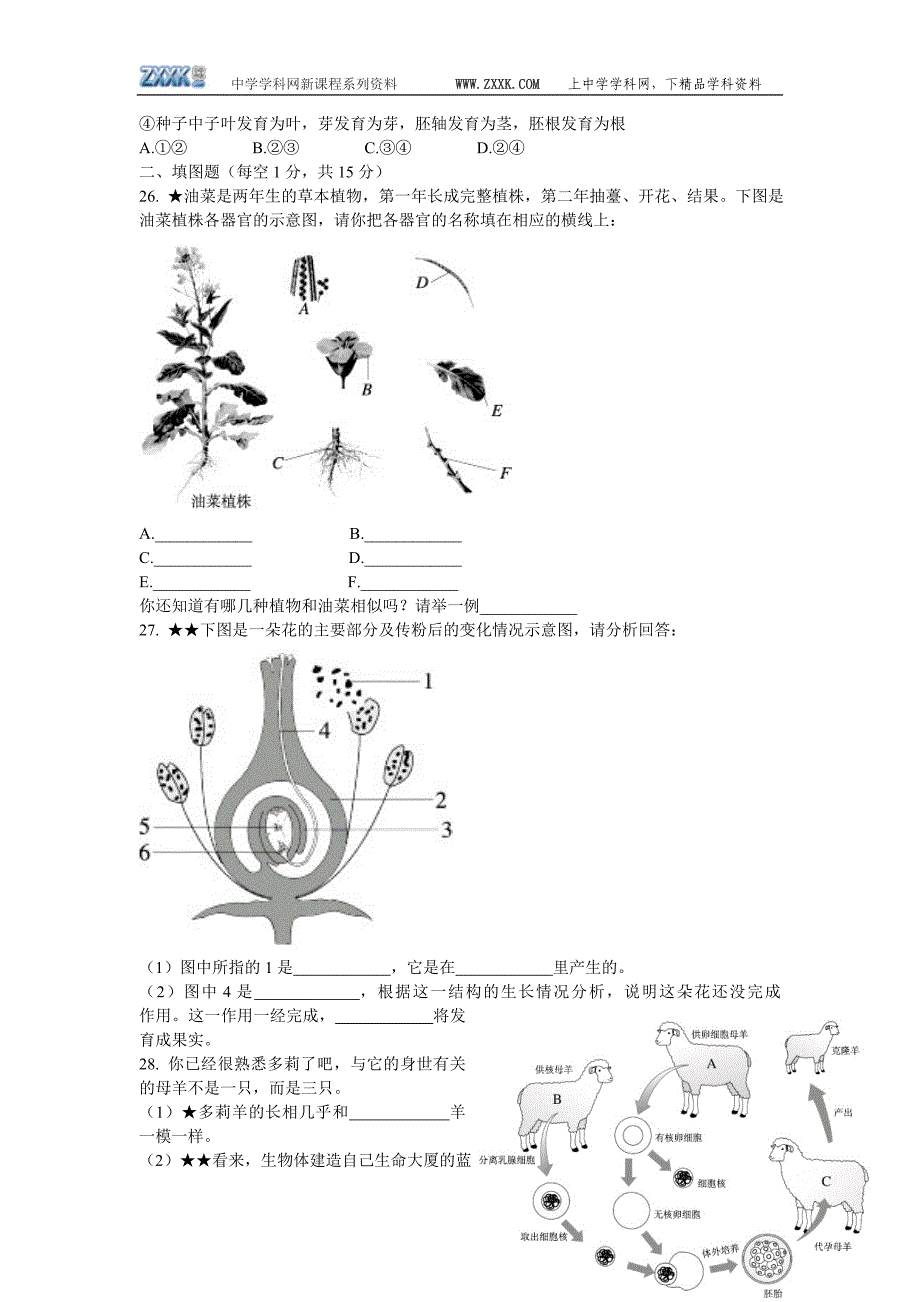 七年级生物试题2.doc_第4页