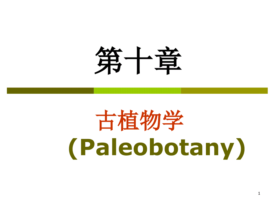 古植物学Paleobotany_第1页