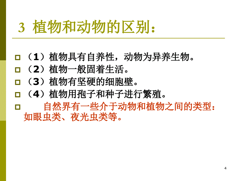 古植物学Paleobotany_第4页