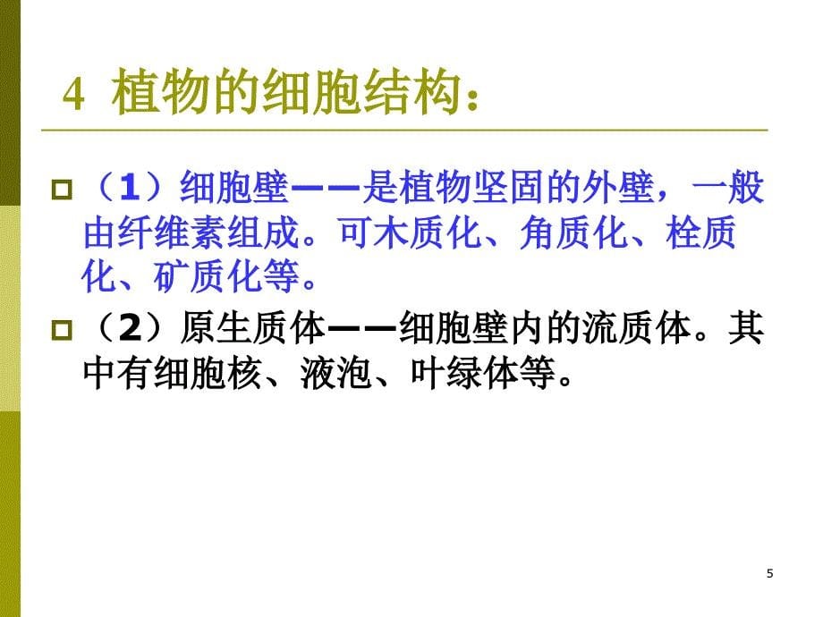 古植物学Paleobotany_第5页