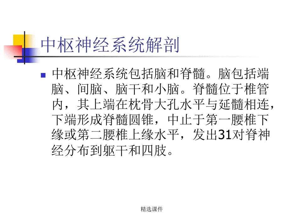 中枢神经系统解剖_第1页