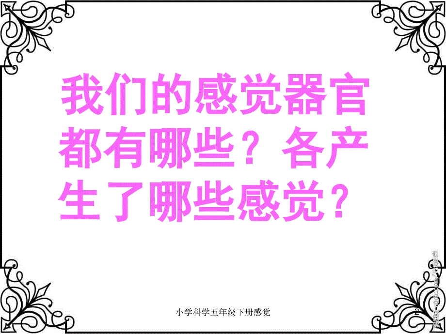 小学科学五年级下册感觉课件_第2页