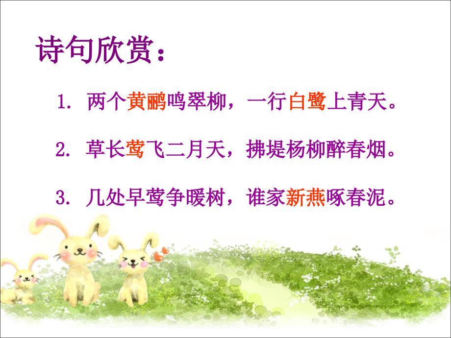 《珍珠鸟》课件4_第1页