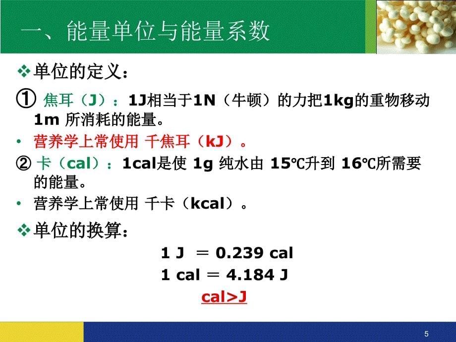 学前儿童的营养需要ppt课件_第5页