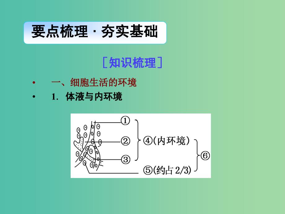 高考生物一轮总复习 第八单元 第一讲 人体的内环境与稳态课件.ppt_第3页