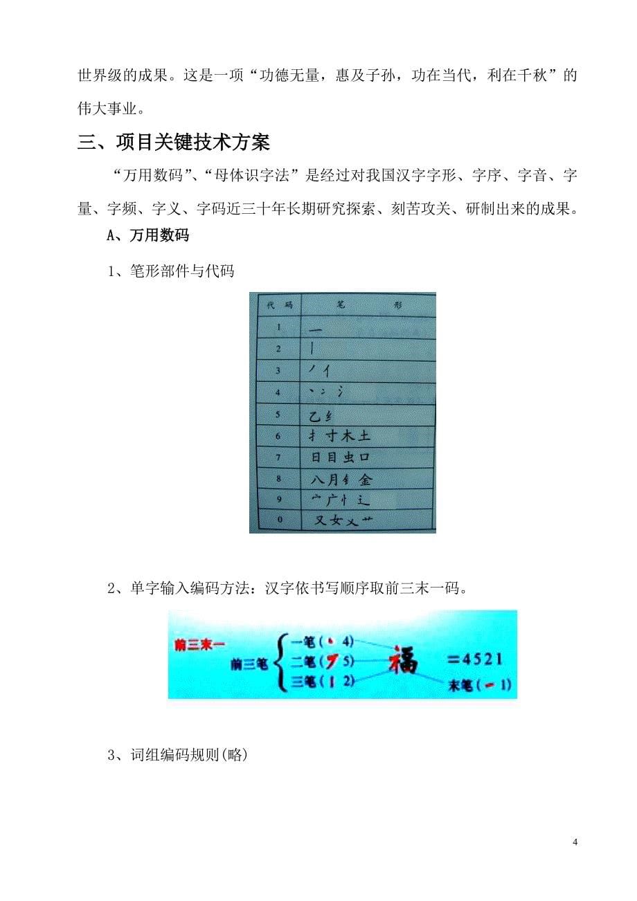 汉字基因万用数码母体识字可行性研究报告_第5页