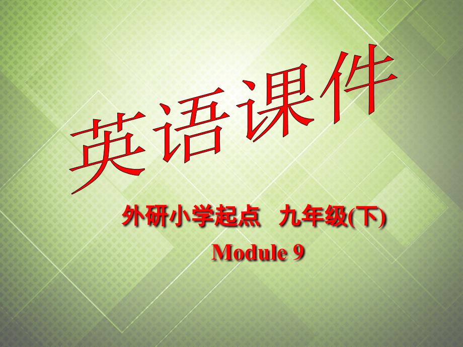 九年级英语下册 Module 9 English for you and me Unit 3 Language in use课件 外研版_第1页