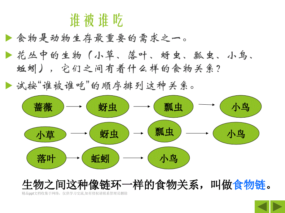 五年级科学上册第一单元食物链和食物网_第3页