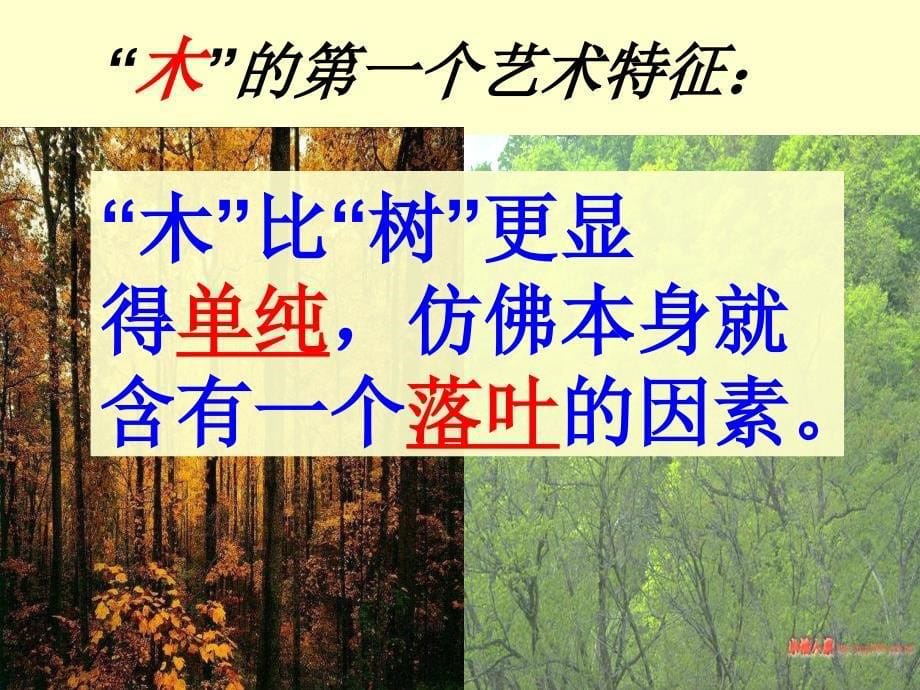 说木叶教学课件_第5页