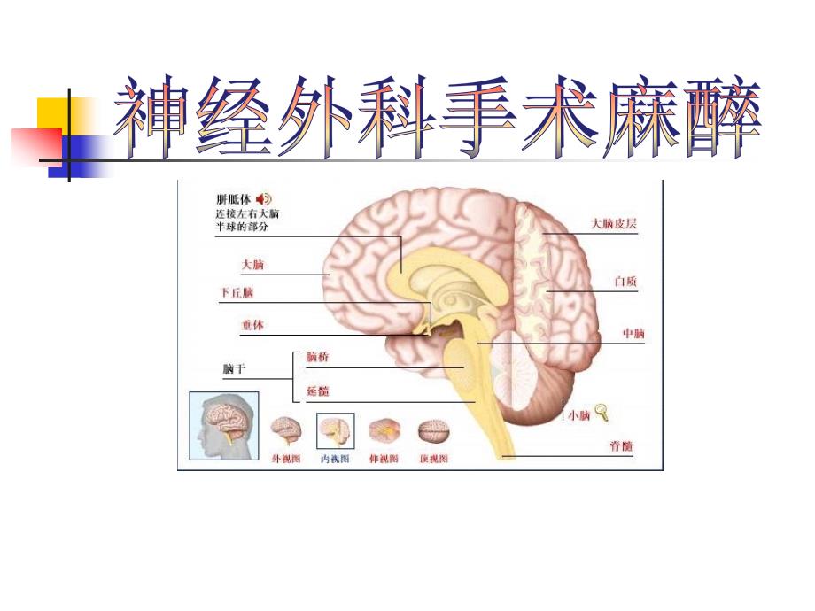 【麻醉-案例分析-课件】神经外科手术的麻醉_第1页