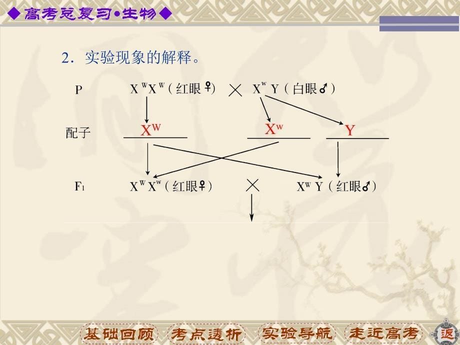 2014：必修2_52_第5页