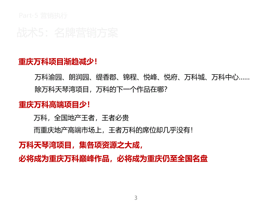 重庆万科天琴湾项目营销策划_第3页