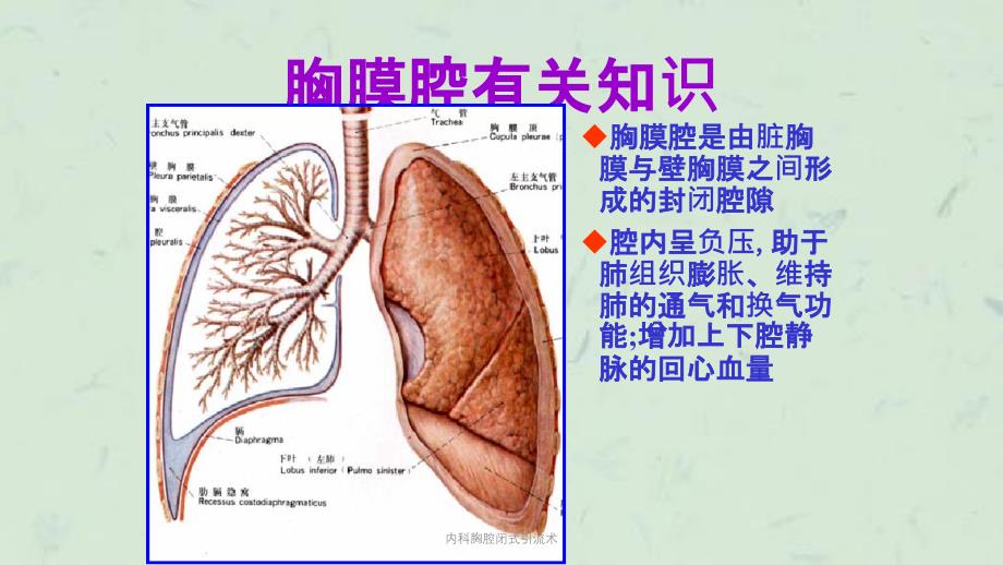 内科胸腔闭式引流术课件_第2页