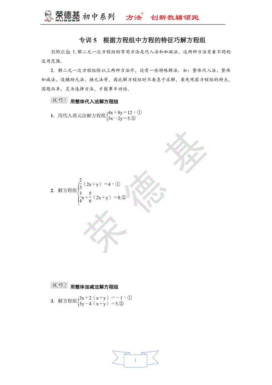 专训5-根据方程组中方程的特征巧解方程组.doc_第1页