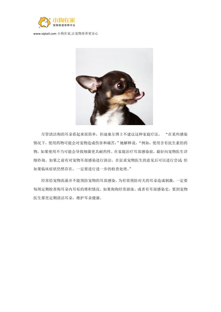 狗狗耳部感染怎么办？.docx_第2页