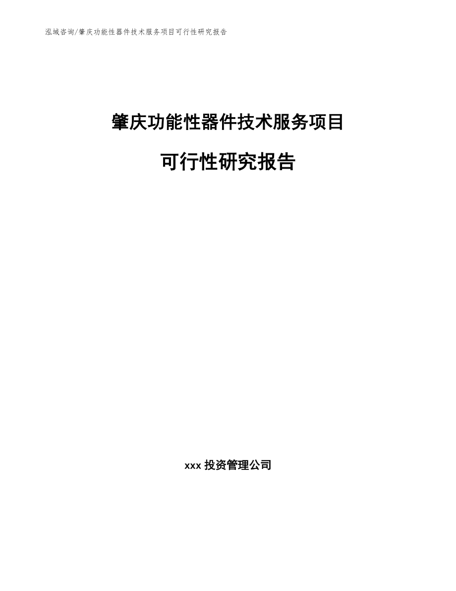 肇庆功能性器件技术服务项目可行性研究报告（模板范本）_第1页