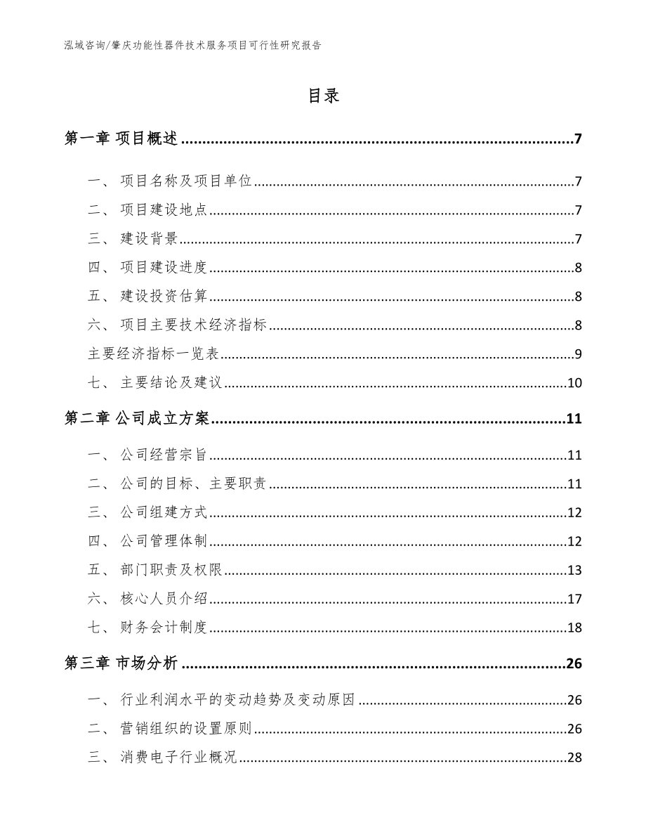 肇庆功能性器件技术服务项目可行性研究报告（模板范本）_第2页