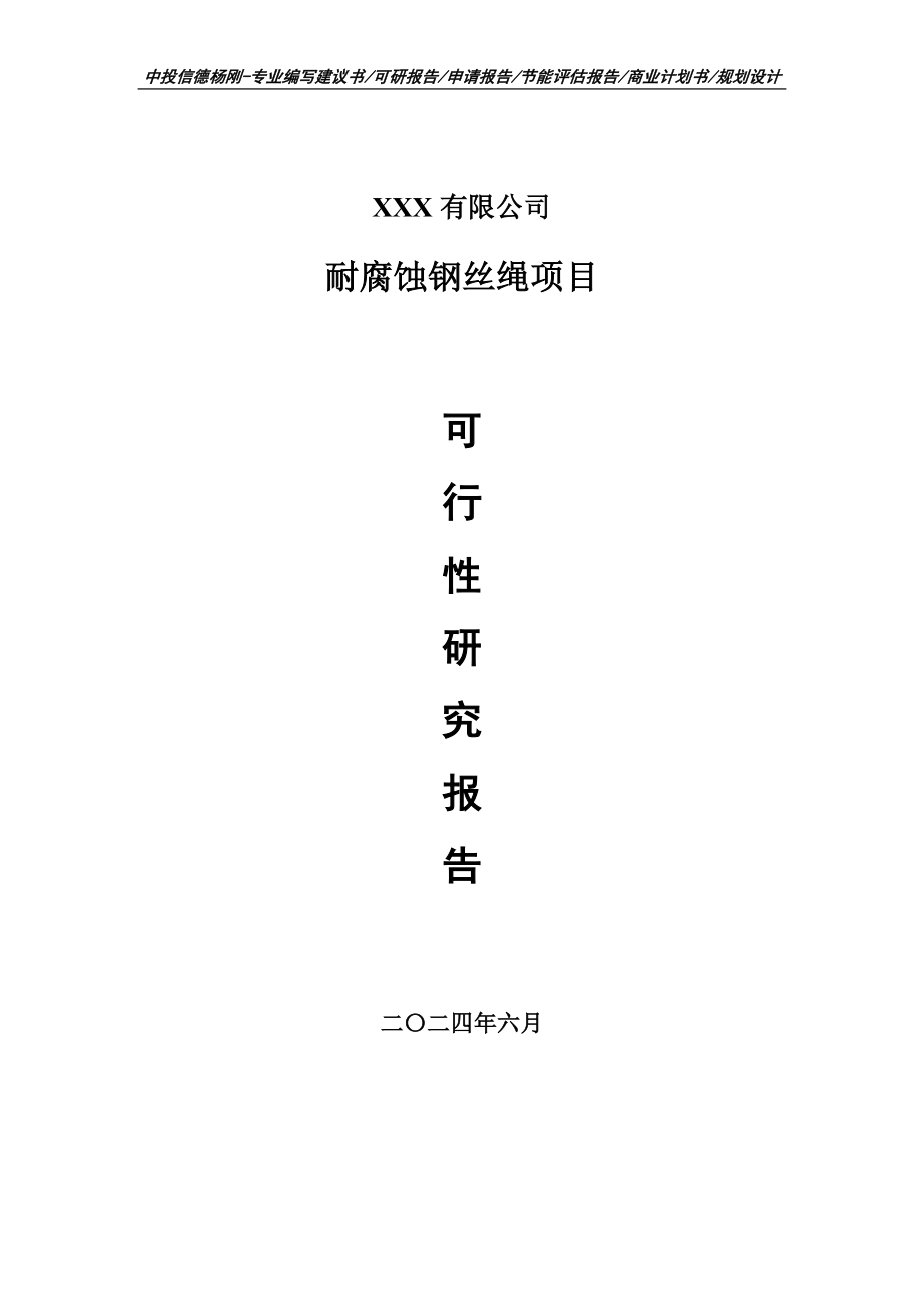 耐腐蚀钢丝绳生产项目可行性研究报告建议书_第1页