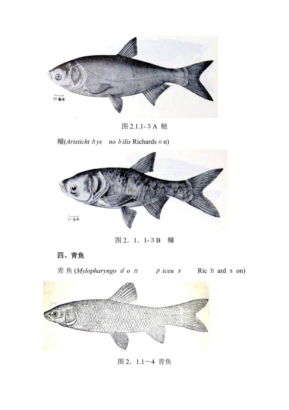 水产种类大全_第2页