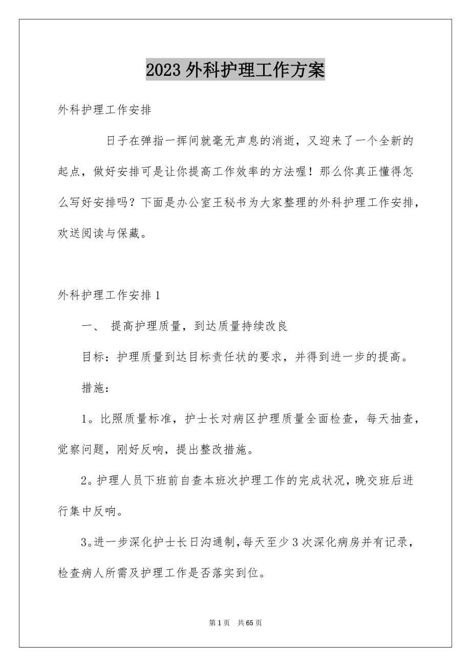 2023年外科护理工作计划.docx