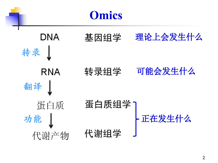 《分子生物学 》教学课件：分生B 组学研究及其临床应用_第2页