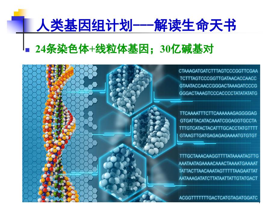 《分子生物学 》教学课件：分生B 组学研究及其临床应用_第4页