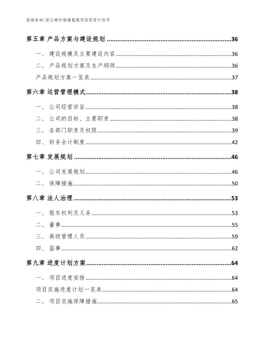 浙江碳纤维储氢瓶项目投资计划书（参考范文）_第2页