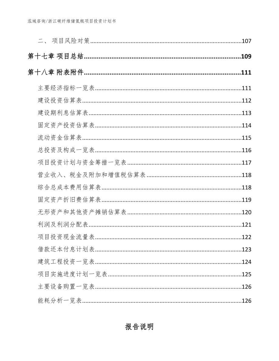 浙江碳纤维储氢瓶项目投资计划书（参考范文）_第5页
