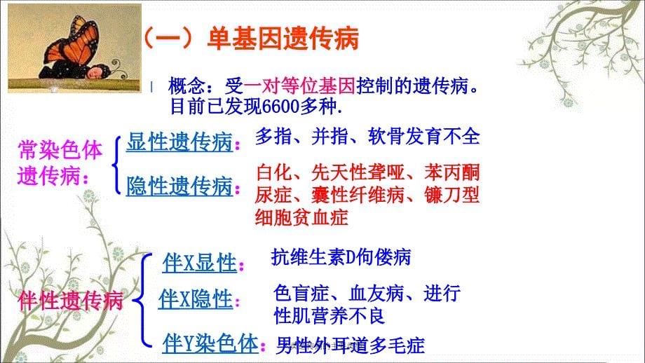 人类遗传病的主要类型_第5页