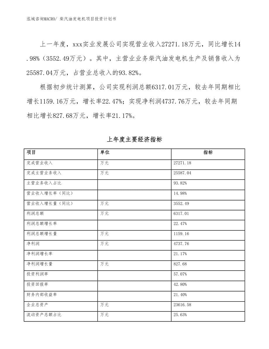 柴汽油发电机项目投资计划书_第5页