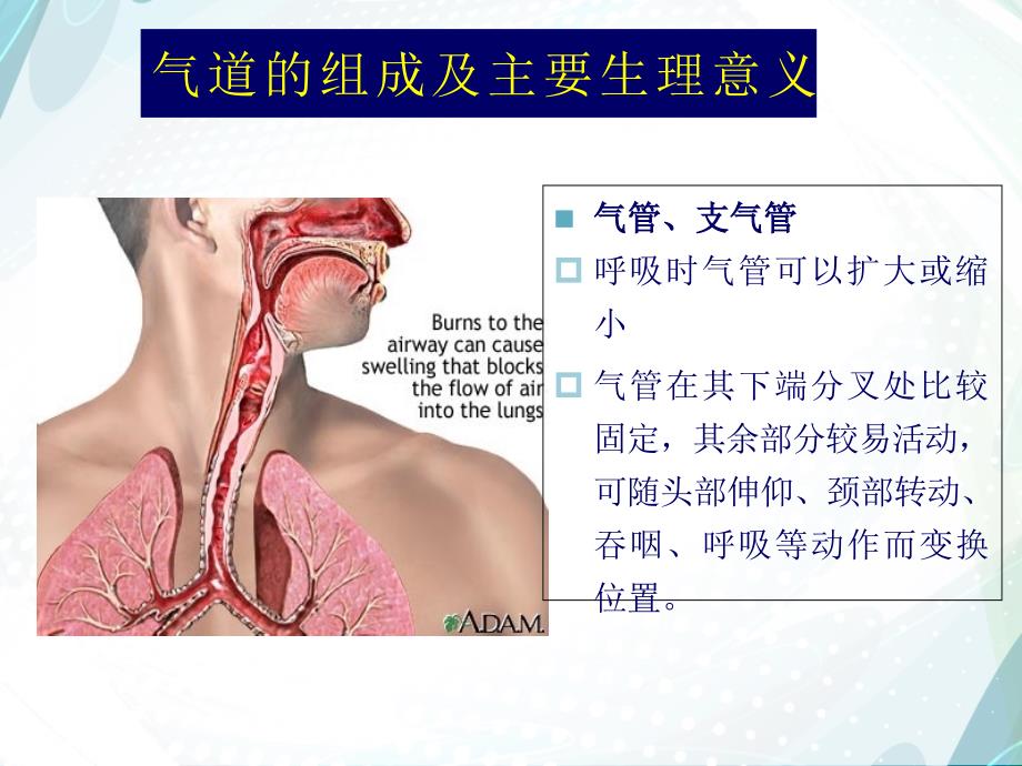 ★人工气道的建立与管理课件_第4页