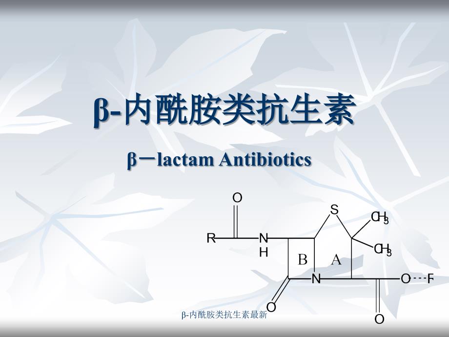 内酰胺类抗生素最新课件_第1页