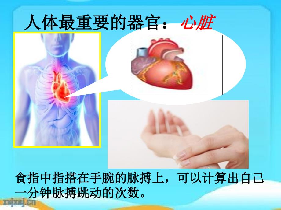 求比一个数多几分之几的数是多少_第3页