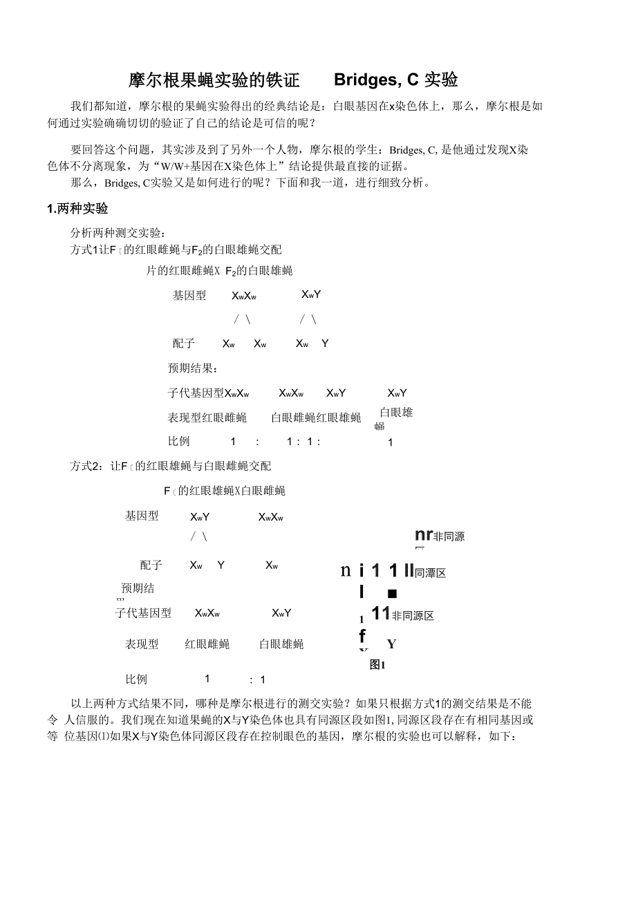 摩尔根果蝇实验的铁证——Bridges C实验邓过房_第1页