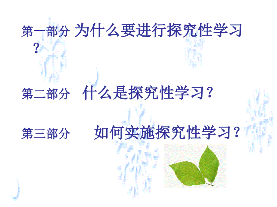 探究性学习(xi)_第2页