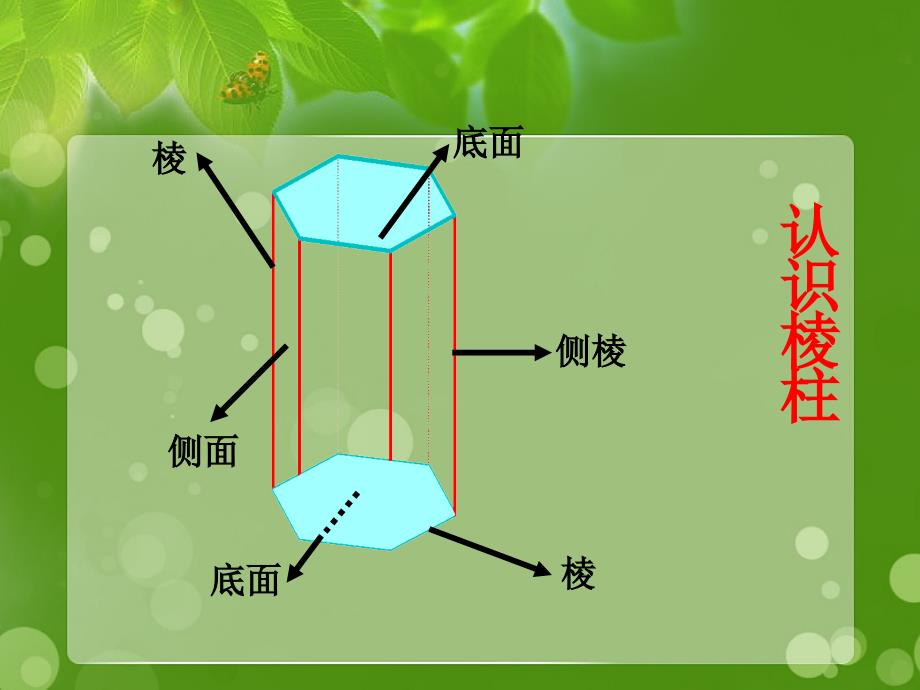 八年级数学认识直棱柱课件浙教版课件_第3页