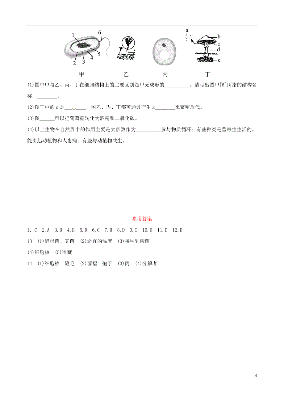 （济宁专版）2019年中考生物 专题十一专题演练_第4页