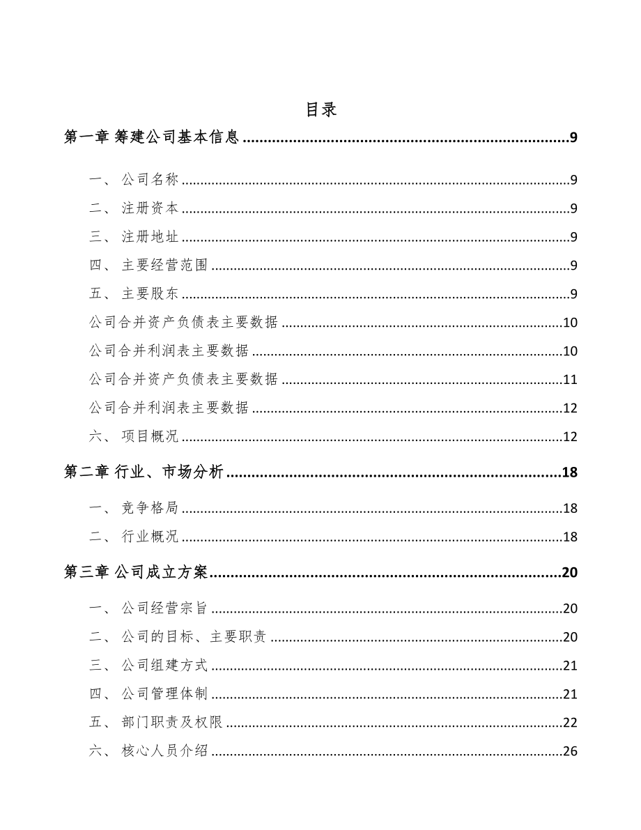 北京关于成立液晶显示模组公司可行性研究报告(DOC 81页)_第2页