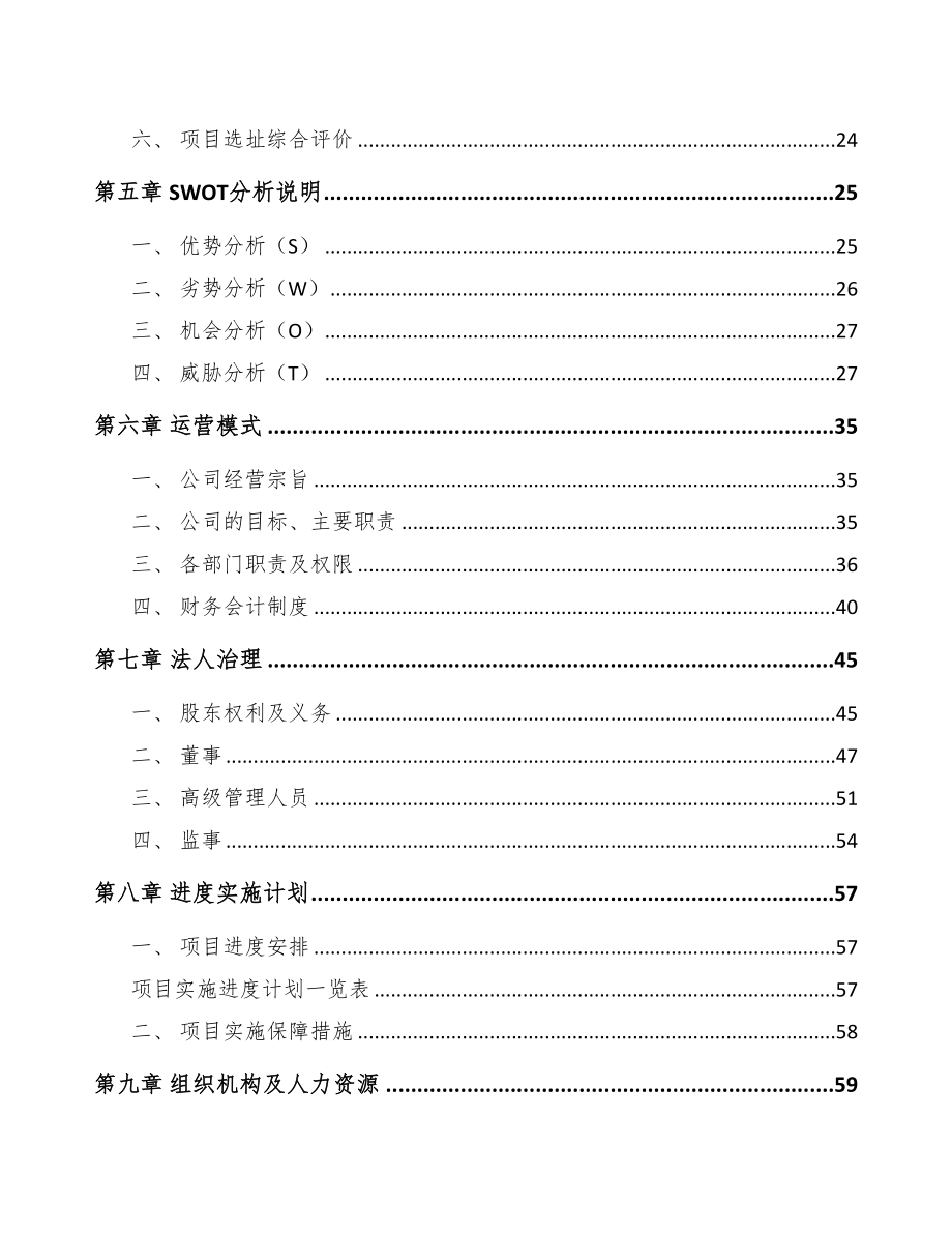 山东火花塞项目研究报告(DOC 74页)_第2页