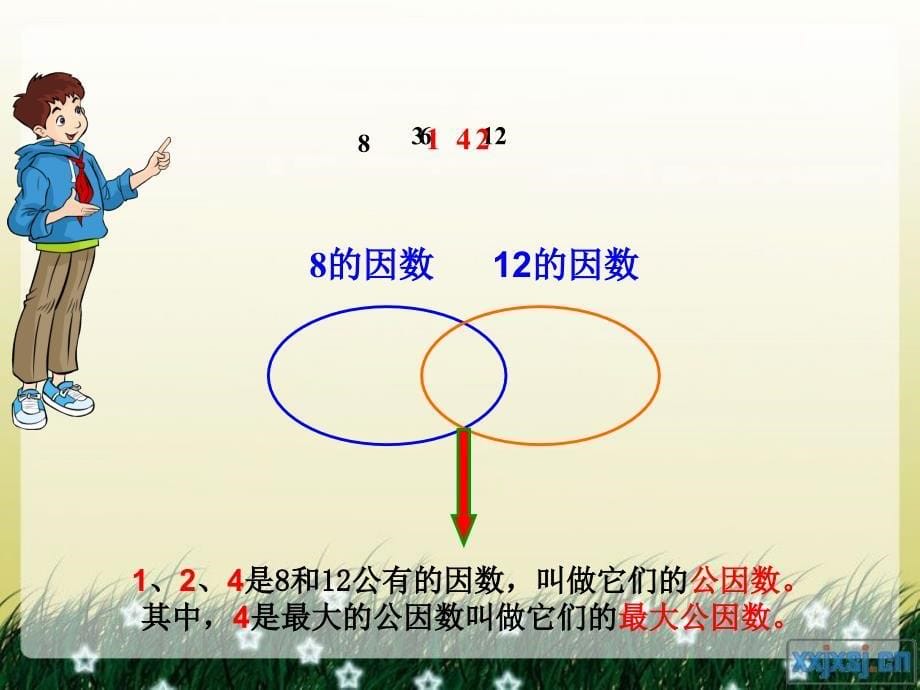 五年级下册第四单元最大公因数课件_第5页