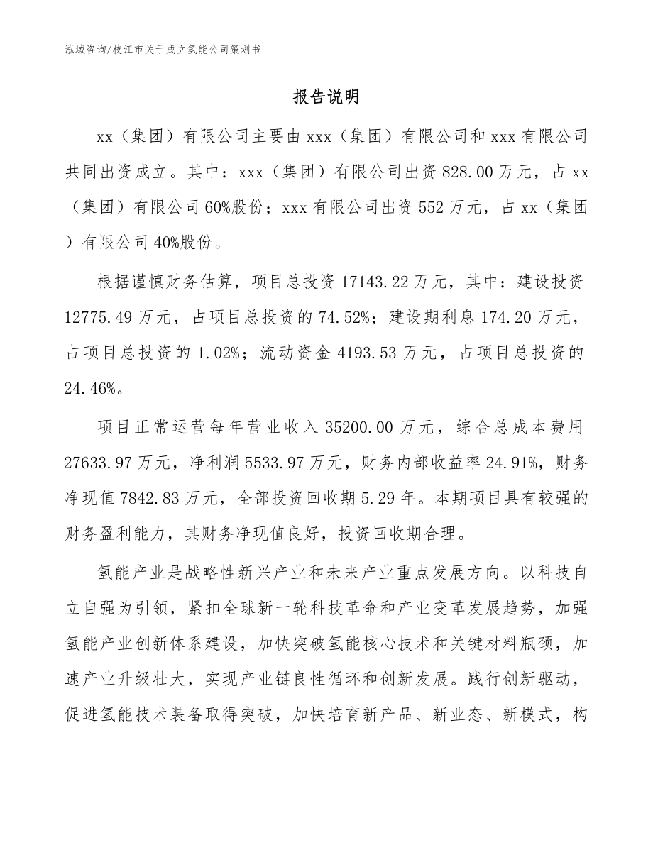 枝江市关于成立氢能公司策划书模板_第2页