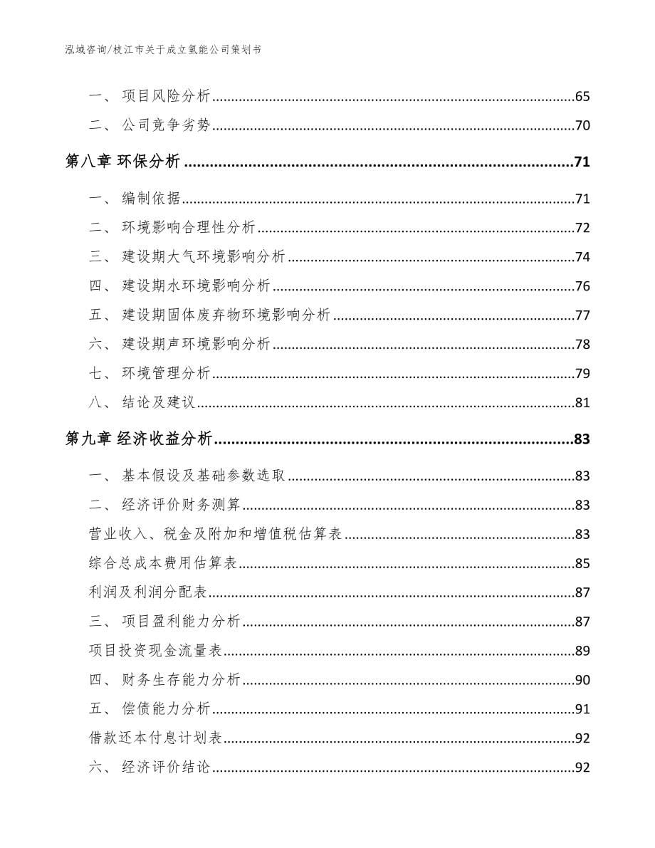 枝江市关于成立氢能公司策划书模板_第5页