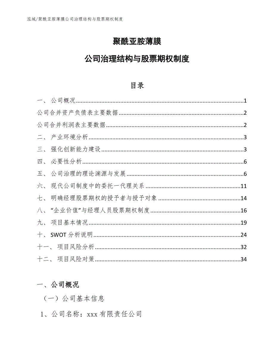 聚酰亚胺薄膜公司治理结构与股票期权制度（范文）_第1页